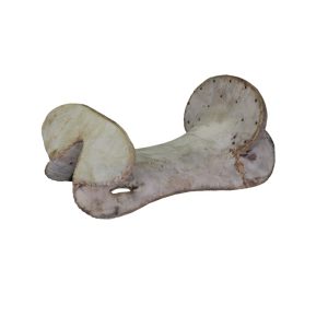 Arreio Cutuca Lombilho