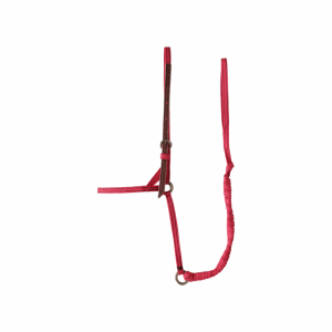Cabresto Fita 10 Mm Texano Inox