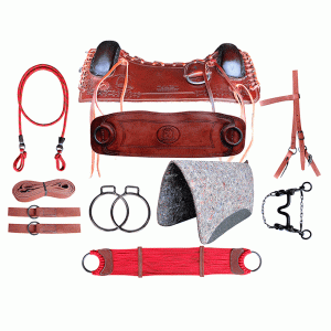 Arreio Charuto Peq. Sola 1/2 Curtume Arg. Inox Completo